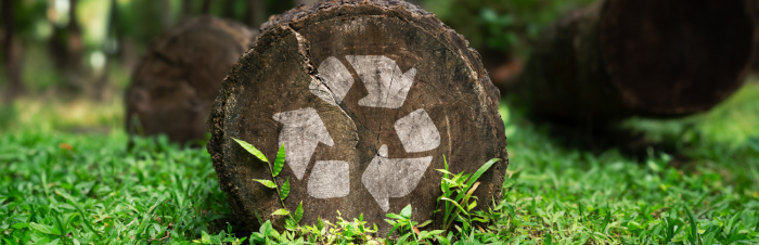 Despite challenges, South Africa offers a unique opportunity for creating change with socially responsible investing