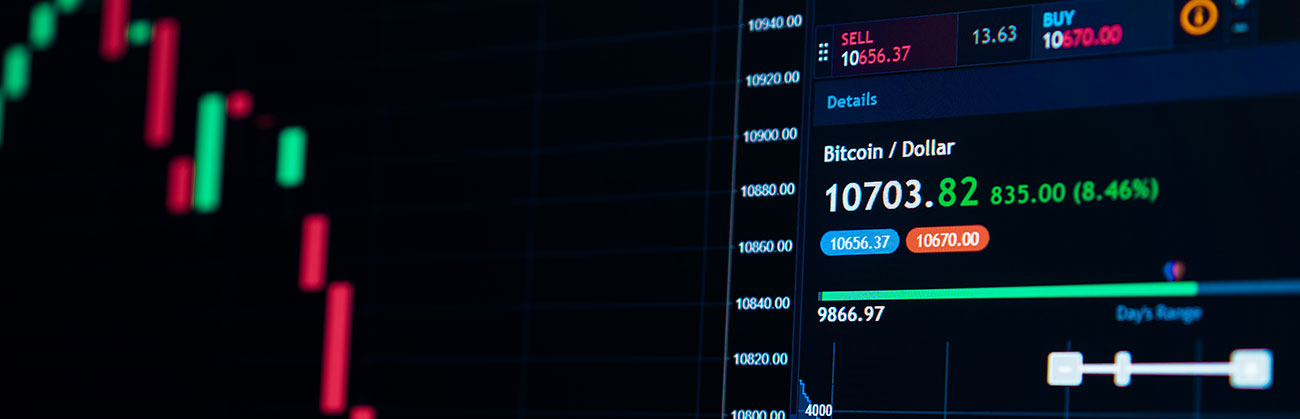 Sanlam Investments 2024 market insights