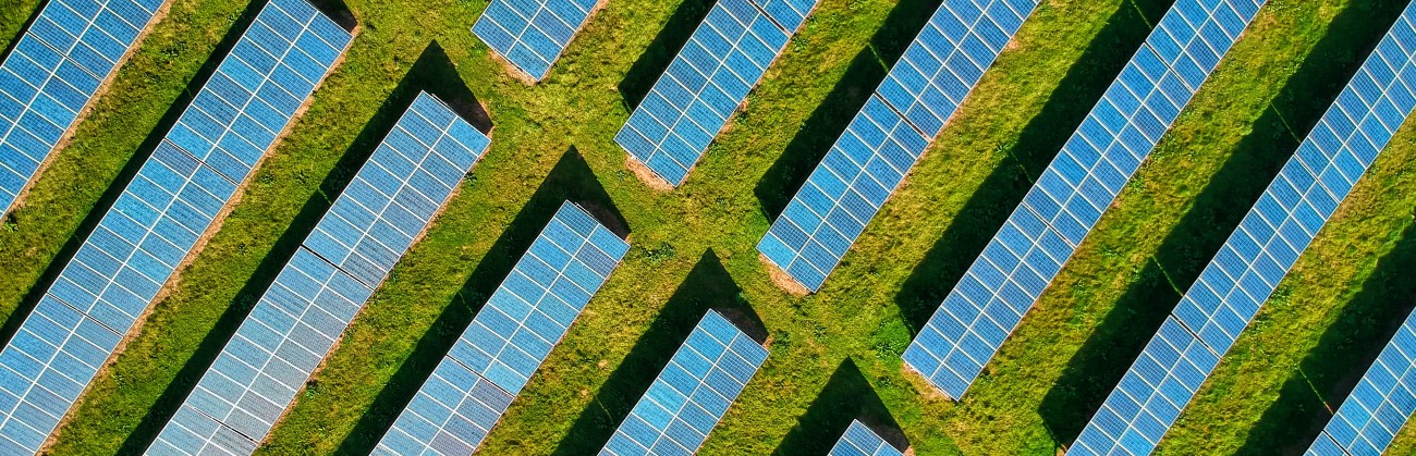 Solar Farm